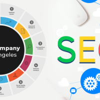Best Search Engine Optimization Service Professionals Help To Enhance Popularity of Website